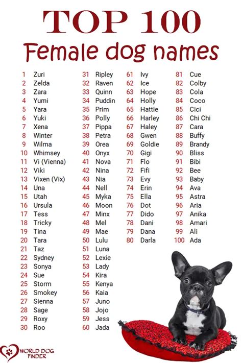 fancy dog names girl